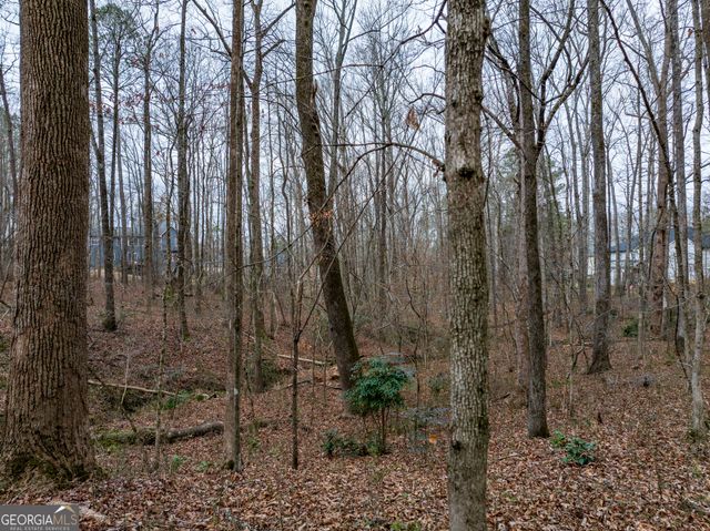 8.5 ACRES Rockbridge Road S, Stone Mountain, GA 30087