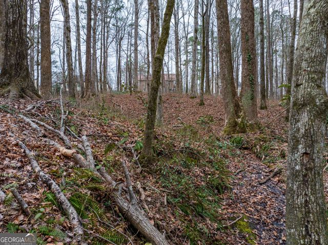 8.5 ACRES Rockbridge Road S, Stone Mountain, GA 30087