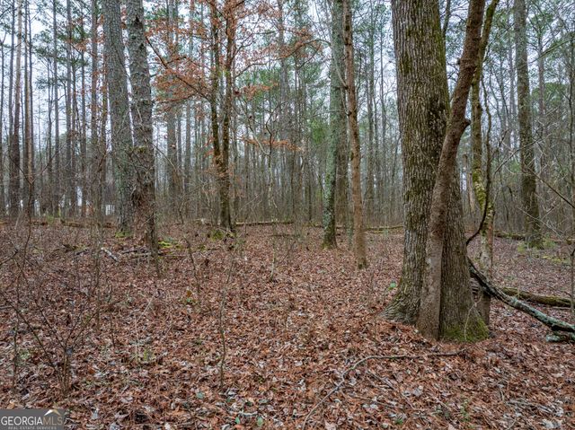 8.5 ACRES Rockbridge Road S, Stone Mountain, GA 30087