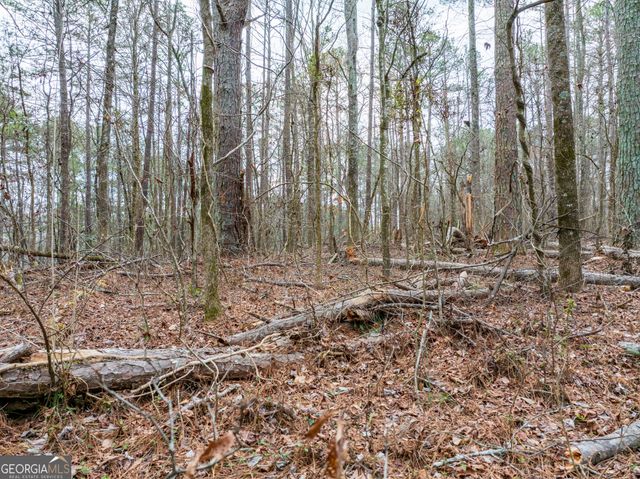 8.5 ACRES Rockbridge Road S, Stone Mountain, GA 30087