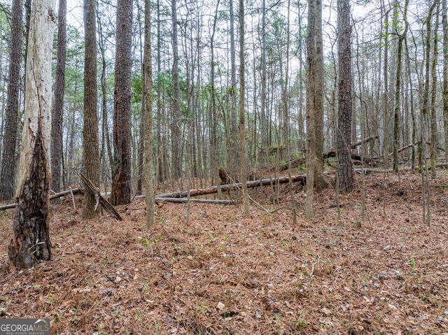 8.5 ACRES Rockbridge Road S, Stone Mountain, GA 30087