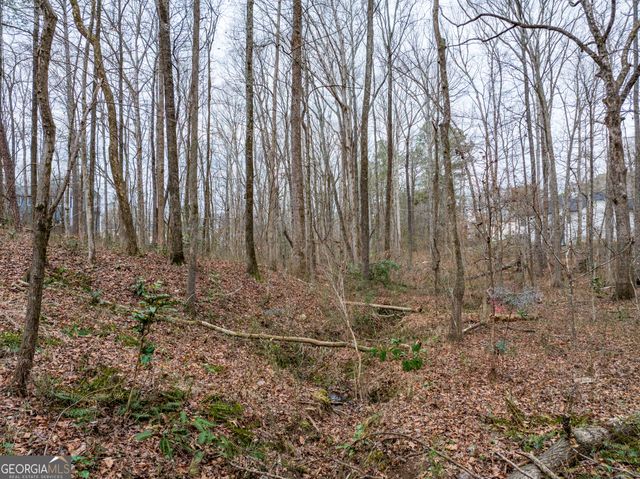 8.5 ACRES Rockbridge Road S, Stone Mountain, GA 30087