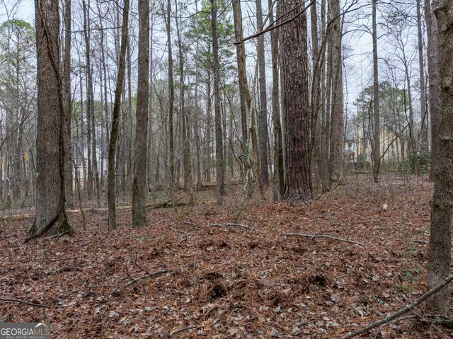 8.5 ACRES Rockbridge Road S, Stone Mountain, GA 30087