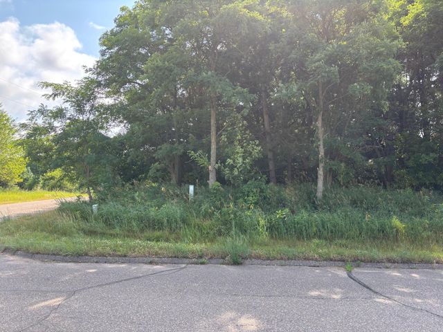TBD 227th Lane NE, East Bethel, MN 55005