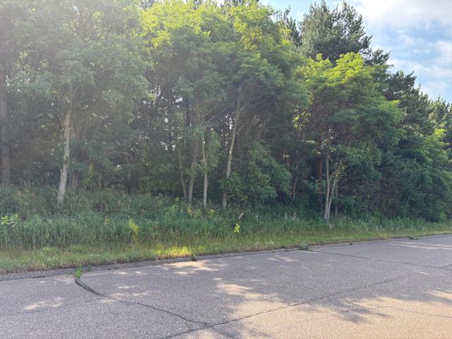 TBD 227th Lane NE, East Bethel, MN 55005