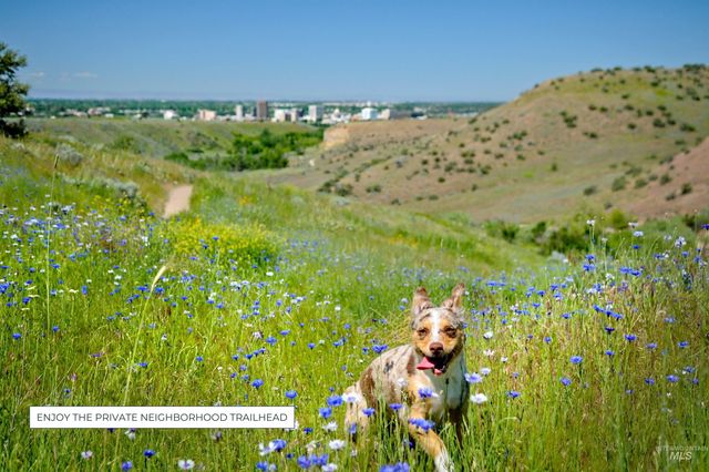 1903 S Meteor Way, Boise, ID 83712