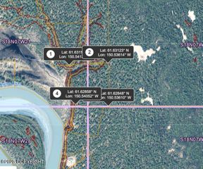 Tr 23 Yentna Remote Rec Cabin Site, Remote, AK 99000