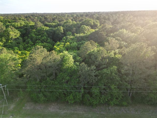 17746 Derby Drive, Waller, TX 77484