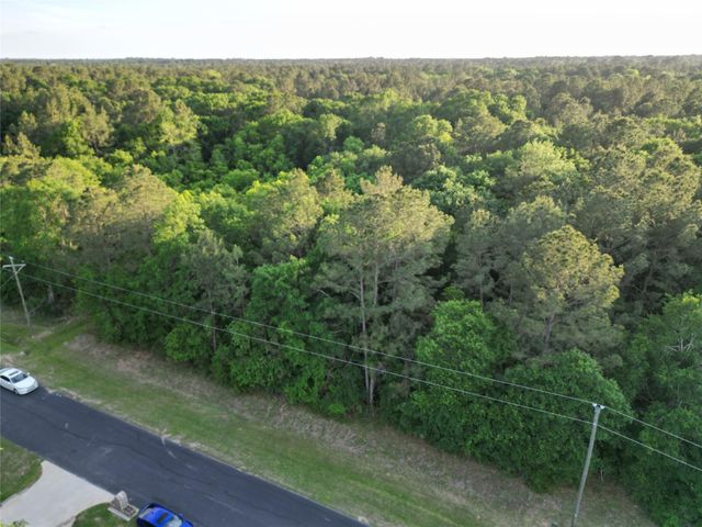 17746 Derby Drive, Waller, TX 77484