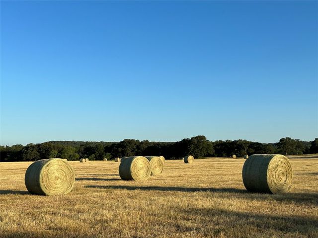 600a Wilson Bend Road, Millsap, TX 76066