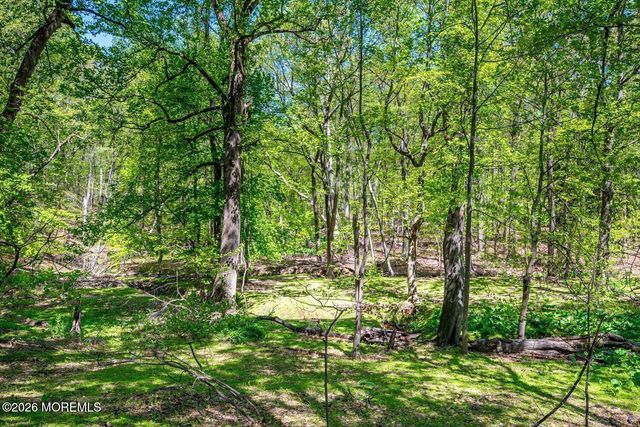 87 Queensbury Court, Morganville, NJ 07751