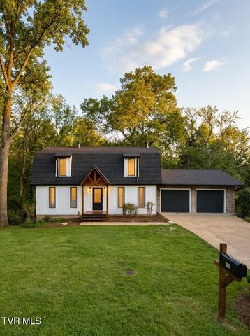 308 Castaway Drive, Kingsport, TN 37663