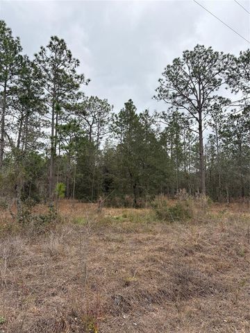 1159 NW REDWOOD DRIVE, Dunnellon, FL 34431