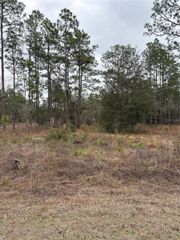 1159 NW REDWOOD DRIVE, Dunnellon, FL 34431