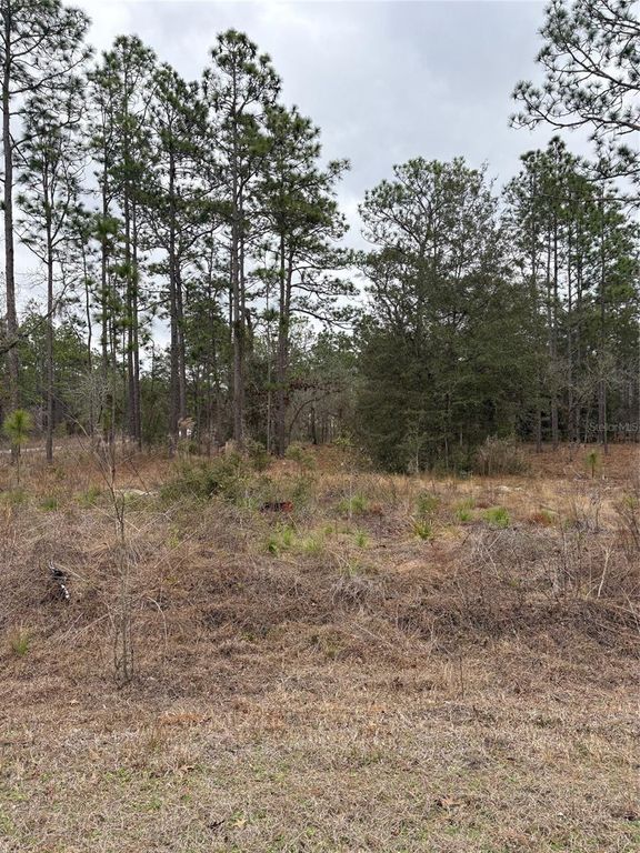 1159 NW REDWOOD DRIVE, Dunnellon, FL 34431