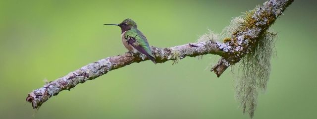 550 Carl Dixon Ln, Gainesboro, TN 38562