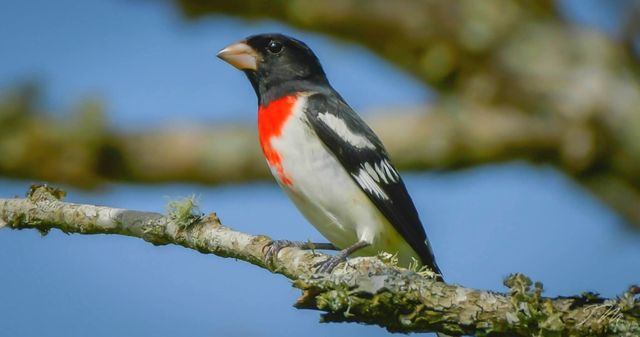 550 Carl Dixon Ln, Gainesboro, TN 38562