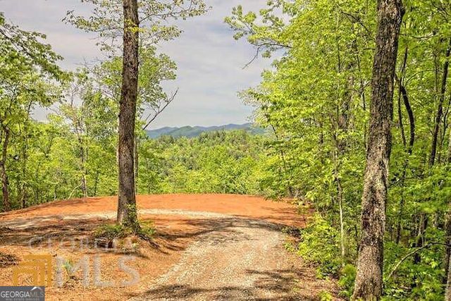 0 Wynngate Drive 21, Dillard, GA 30537