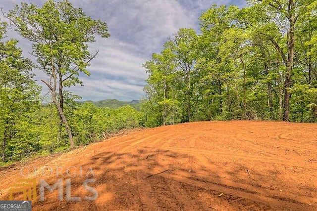 0 Wynngate Drive 21, Dillard, GA 30537