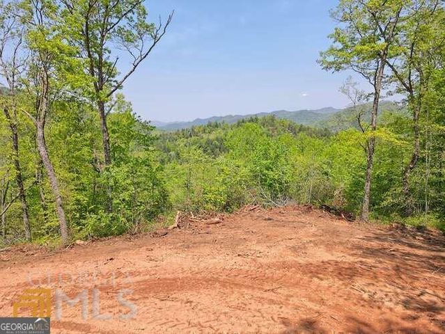 0 Wynngate Drive 21, Dillard, GA 30537