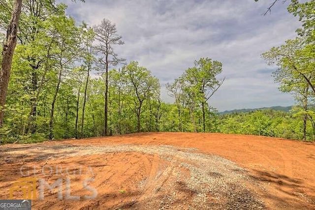 0 Wynngate Drive 21, Dillard, GA 30537