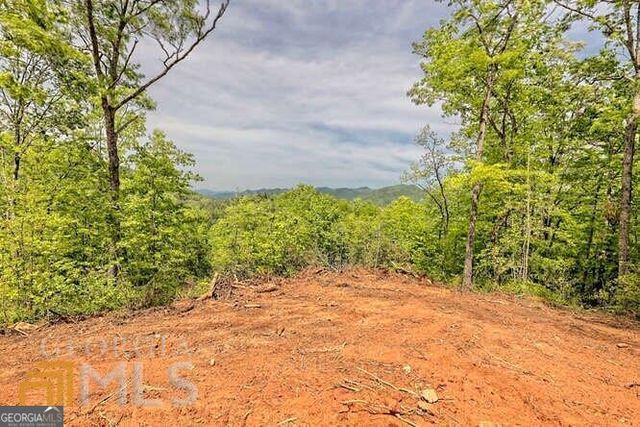 0 Wynngate Drive 21, Dillard, GA 30537