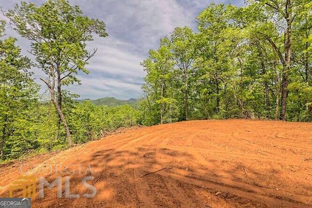0 Wynngate Drive 21, Dillard, GA 30537