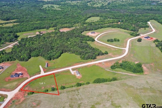16604 Caeli Heights Ct Lot 1, Winona, TX 75792