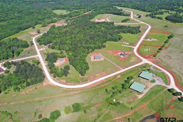 16604 Caeli Heights Ct Lot 1, Winona, TX 75792