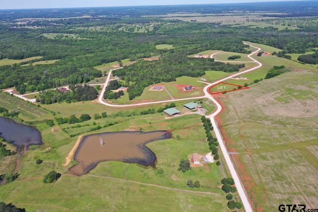 16604 Caeli Heights Ct Lot 1, Winona, TX 75792