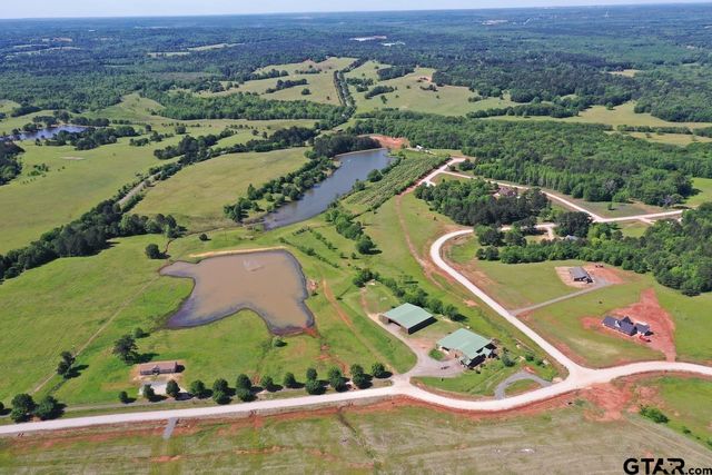 16604 Caeli Heights Ct Lot 1, Winona, TX 75792
