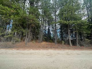 4450 Buck Creek Rd, Loon Lake, WA 99148