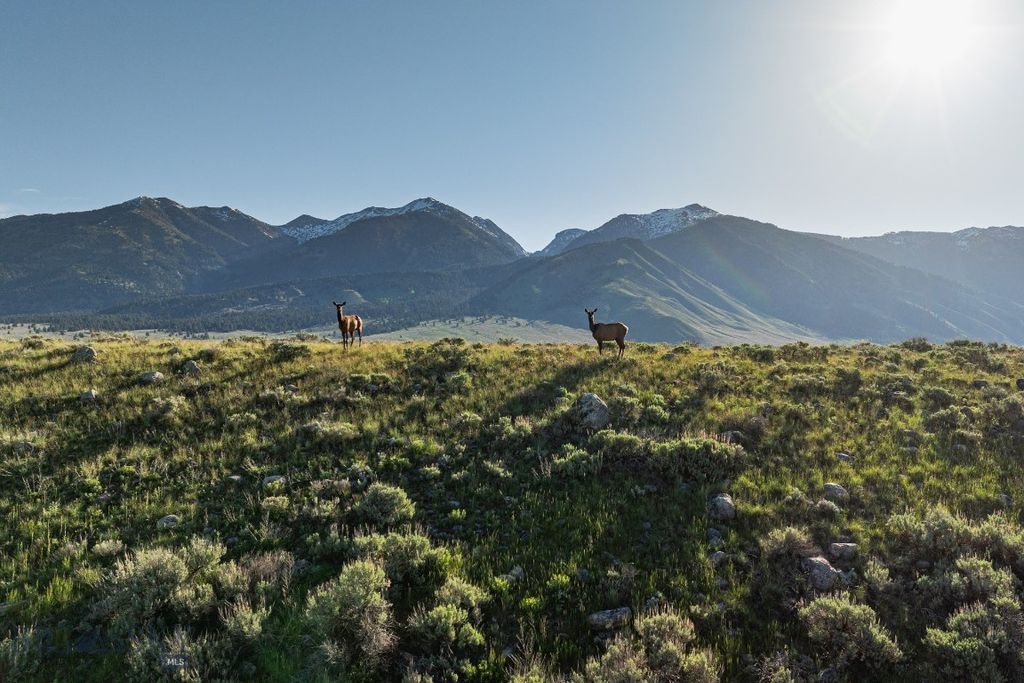 1 Sagebrush Way, Cameron, MT 59720 photo 10