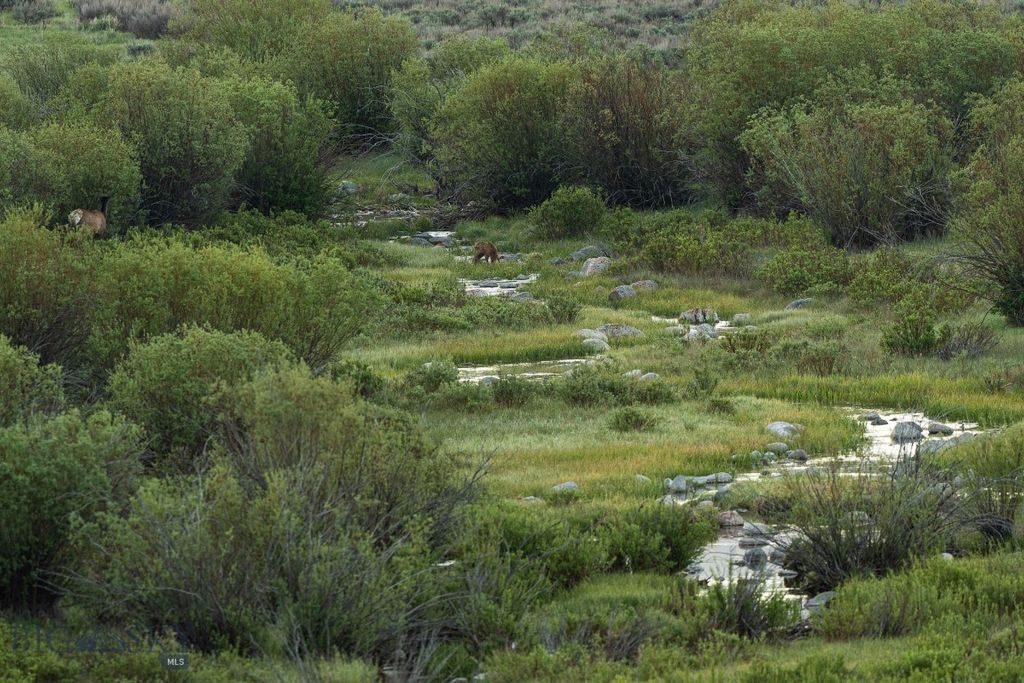 1 Sagebrush Way, Cameron, MT 59720 photo 11