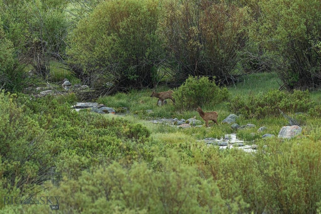 1 Sagebrush Way, Cameron, MT 59720 photo 12