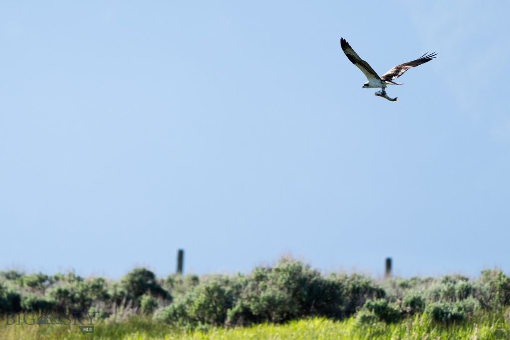 1 Sagebrush Way, Cameron, MT 59720 photo 20