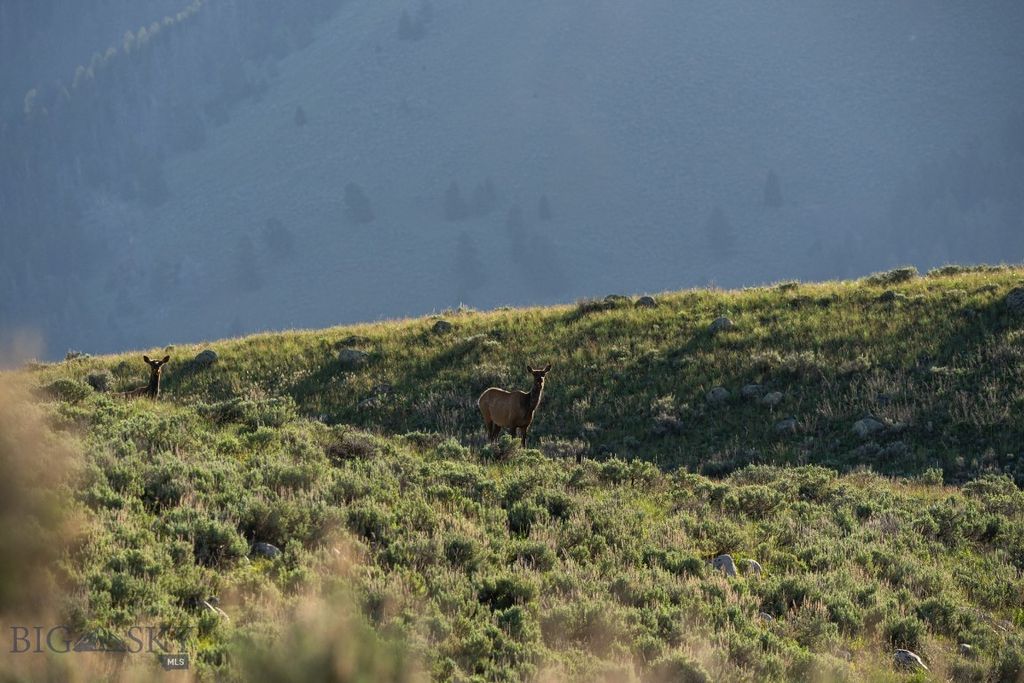 1 Sagebrush Way, Cameron, MT 59720 photo 22