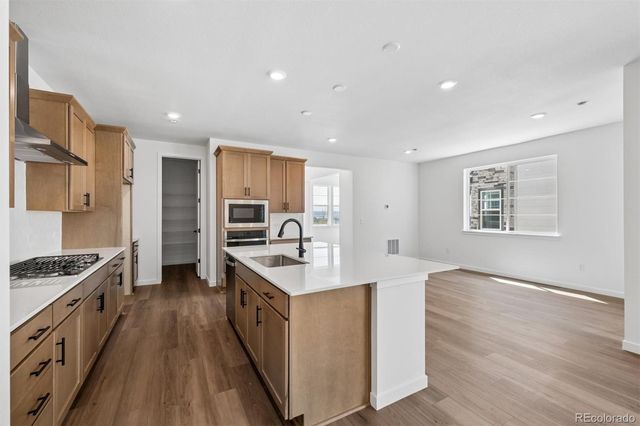 13304 Inca Rose Way, Parker, CO 80134