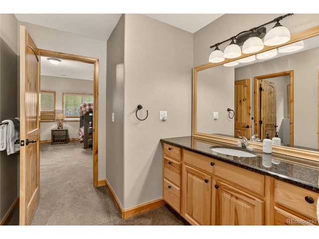 256 Palmer Peak Dr, Fairplay, CO 80440