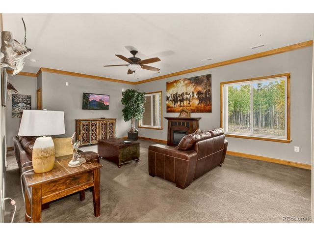 256 Palmer Peak Dr, Fairplay, CO 80440