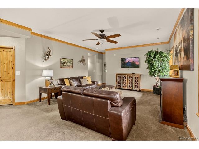 256 Palmer Peak Dr, Fairplay, CO 80440