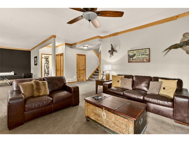 256 Palmer Peak Dr, Fairplay, CO 80440