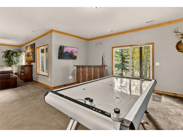 256 Palmer Peak Dr, Fairplay, CO 80440