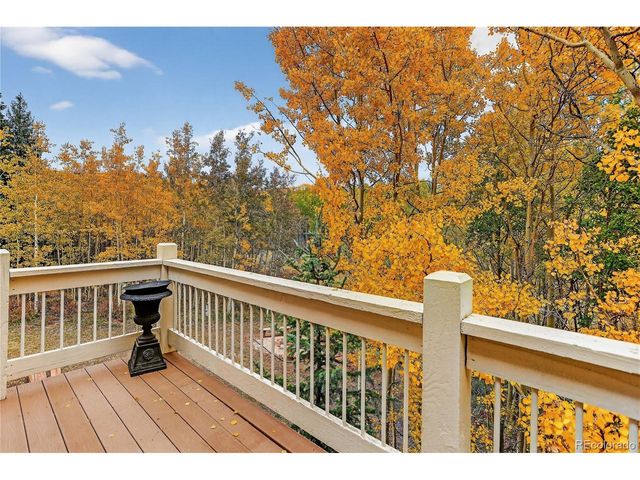 256 Palmer Peak Dr, Fairplay, CO 80440