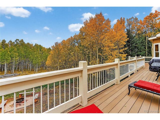 256 Palmer Peak Dr, Fairplay, CO 80440