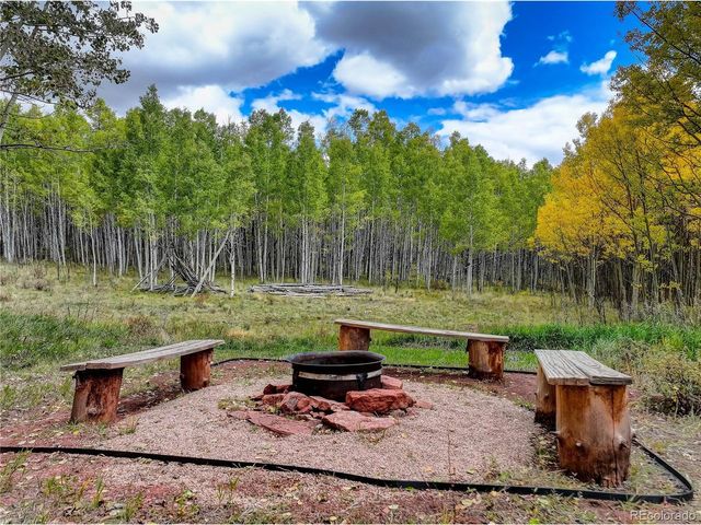 256 Palmer Peak Dr, Fairplay, CO 80440