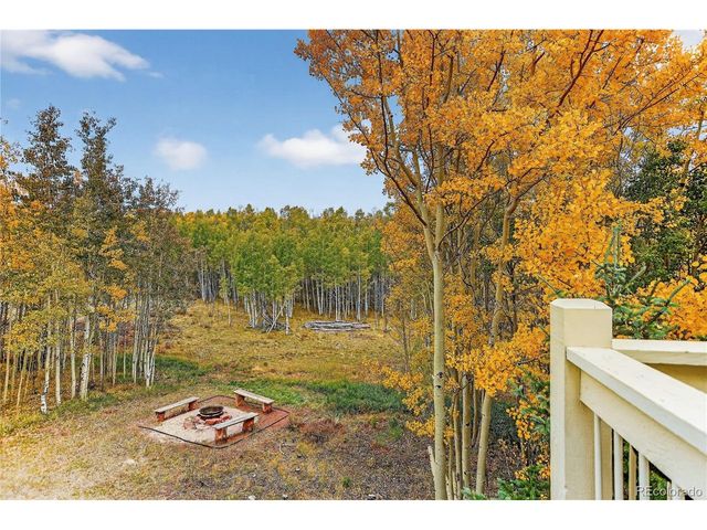 256 Palmer Peak Dr, Fairplay, CO 80440