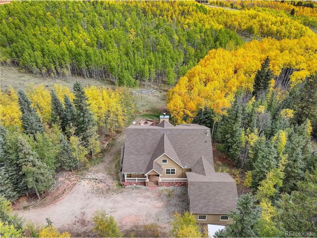 256 Palmer Peak Dr, Fairplay, CO 80440