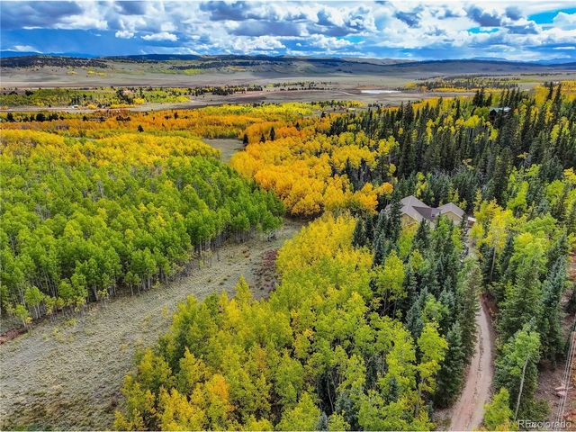 256 Palmer Peak Dr, Fairplay, CO 80440