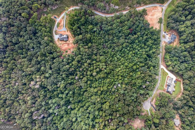 LOT 14 Clear Creek Preserve Way, Ellijay, GA 30536